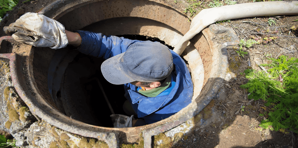 Inspección