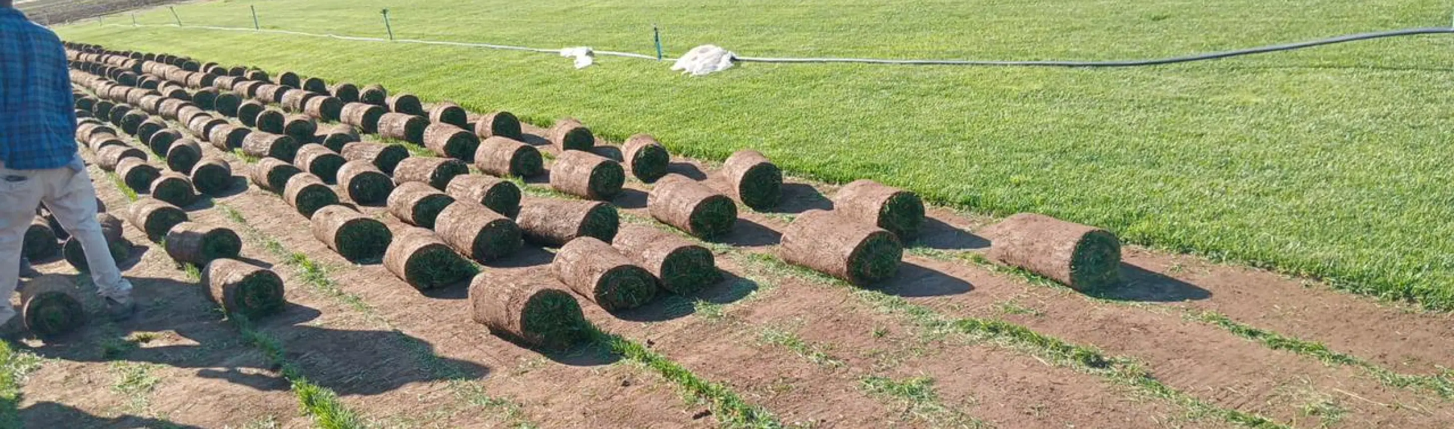 Garden CTA